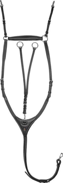 Image du produit Waldhausen X-Line Vorderzeug Work