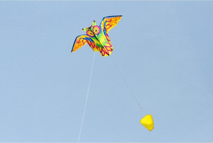 Produktbild Invento Flashy Owl Kite