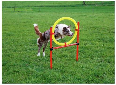 Actual product image Kerbl Complete set (One size, Agility)