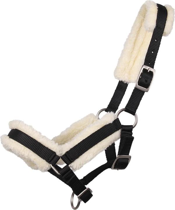 Qhp Foal halter with fur
