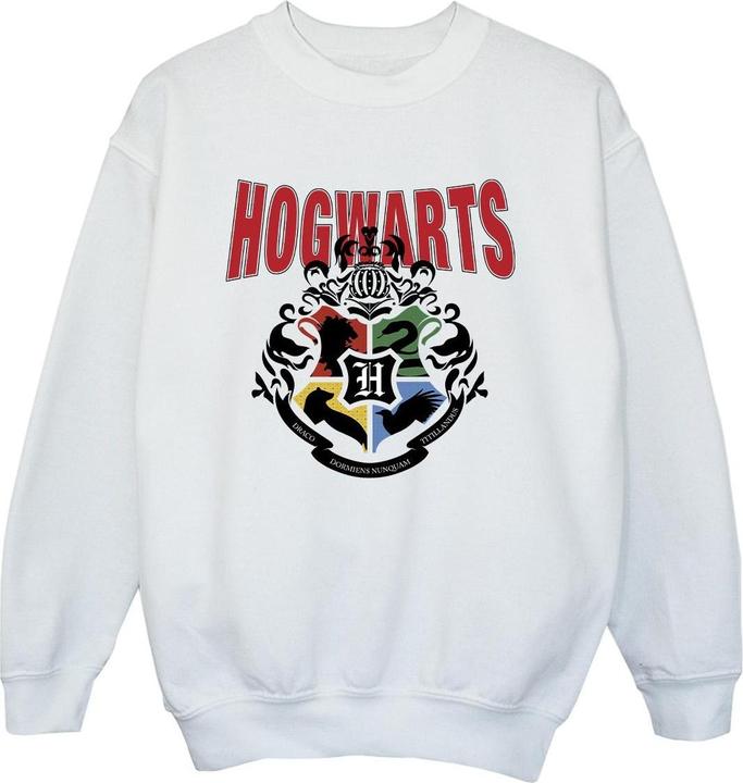 Image du produit - Sweat HOGWARTS EMBLEM - Garçon (116)