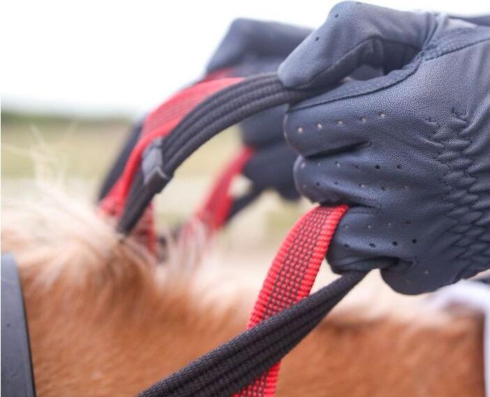 Image du produit Waldhausen Pré-harnais avec BOUCLE DE SÉCURITÉ SECUTRUST