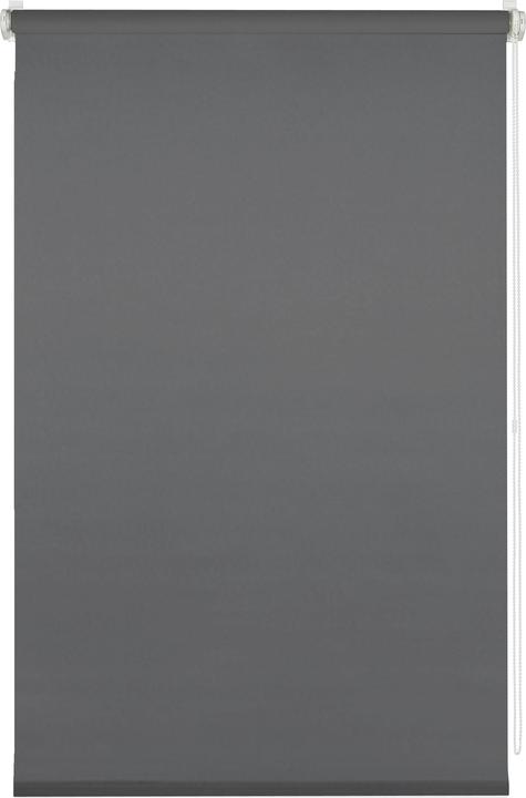 Deco Company Uni clamp roller blind