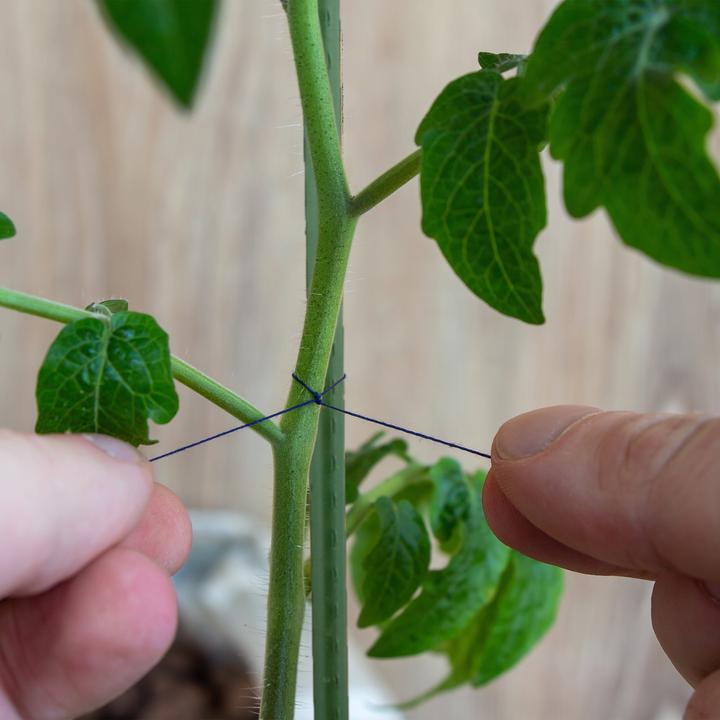 Immagine prodotto Relaxdays 10x supporti per piante (1 cm, 1 cm)