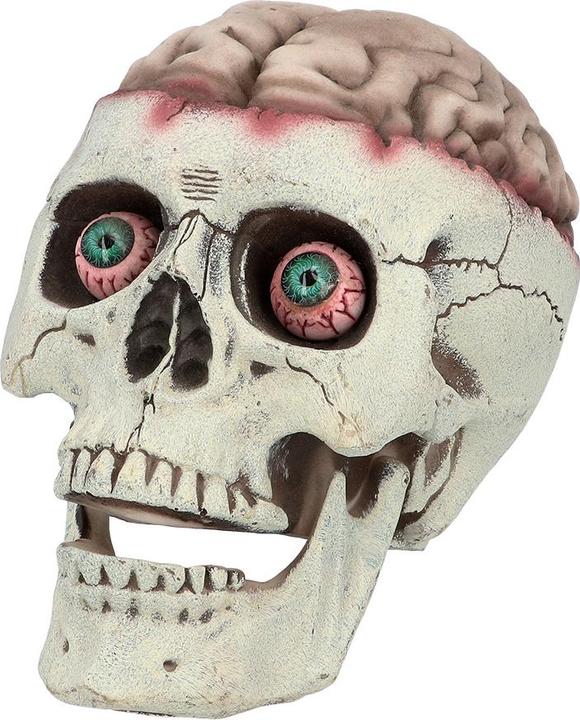 Produktbild Boland Schädel Brain Dead mit beweglichem Kiefer (1 Stk.)