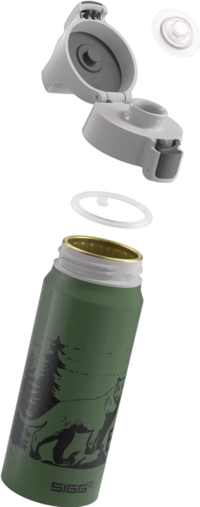 Image du produit Sigg WMB One (0.60 l)