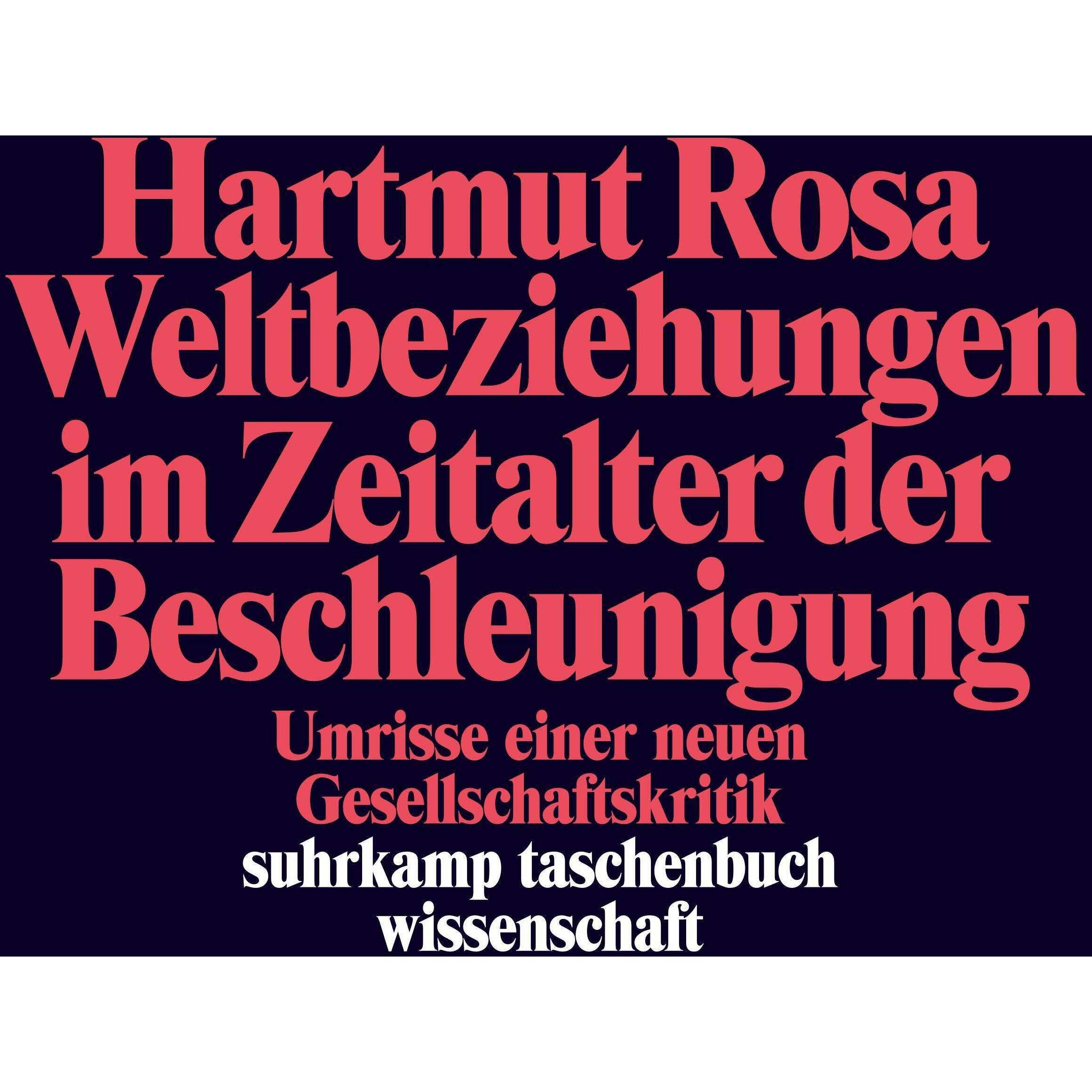 Weltbeziehungen im Zeitalter der Beschleunigung, Fachbücher von Hartmut Rosa
