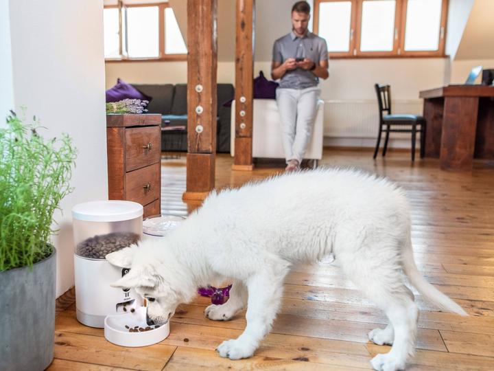 Produktbild Tesla Smart Pet Feeder (4 l)