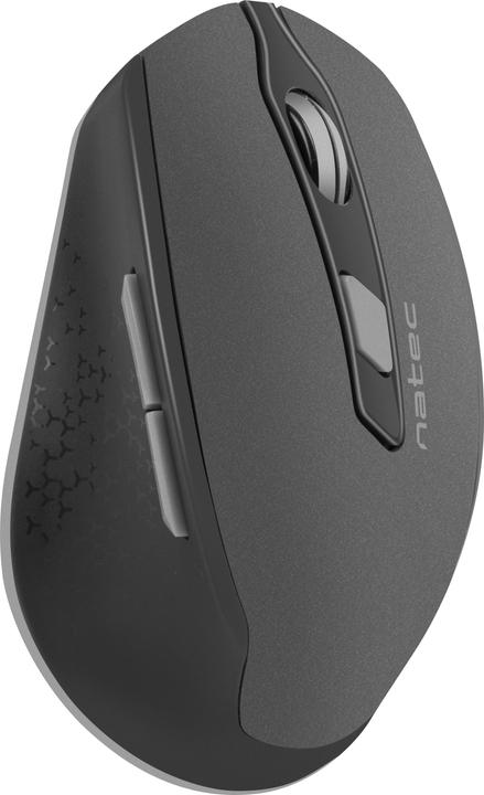 Actual product image Natec SISKIN Mouse Right RF Wireless Optical 2400 DPI (Wireless)
