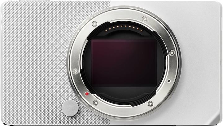 Sigma BF (Silver) (24.60 Mpx, Full frame)