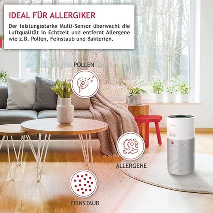 Actual product image Hoover HHP 50 CA 011 H-Purifier 500 (110 m²)