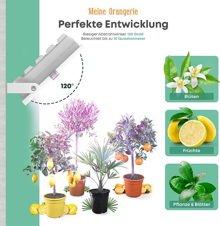 Image du produit Meine Orangerie 35.0 Watt (LED, 230 V)