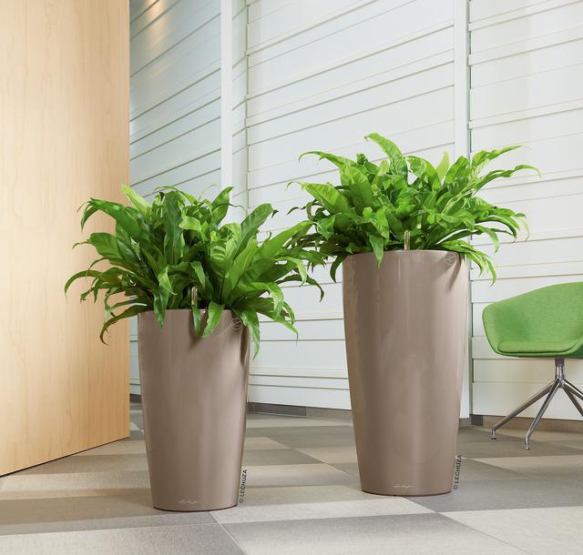 Immagine prodotto Lechuza Rondo (32.50 x 56.50 cm)