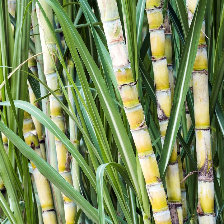 Produktbild TePe Good Compact Soft (Weich, 1 x)