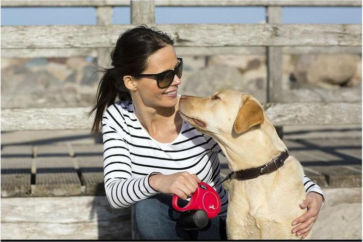 Actual product image Flexi New Classic L Belt 5m (L, Dog, Walks)