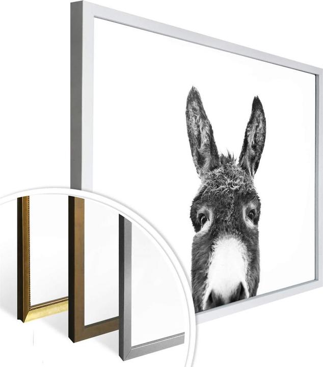 Produktbild Trenddeko Der Esel (80 x 60 cm)
