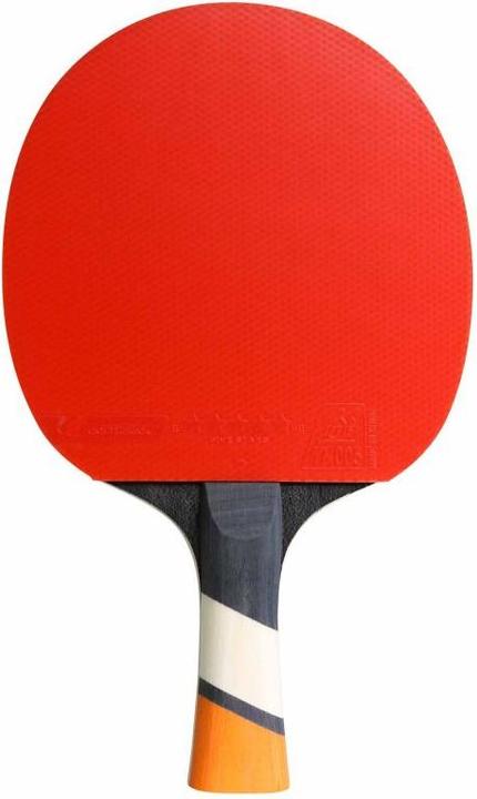 Actual product image Cornilleau Perform 800