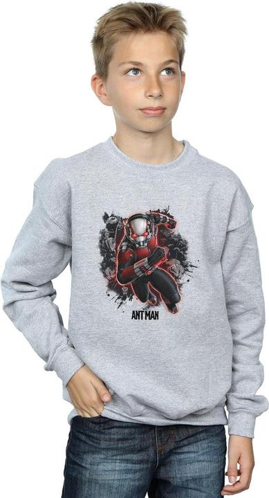 Image du produit Sweatshirt garçon Ant-Man Ants Running (116)