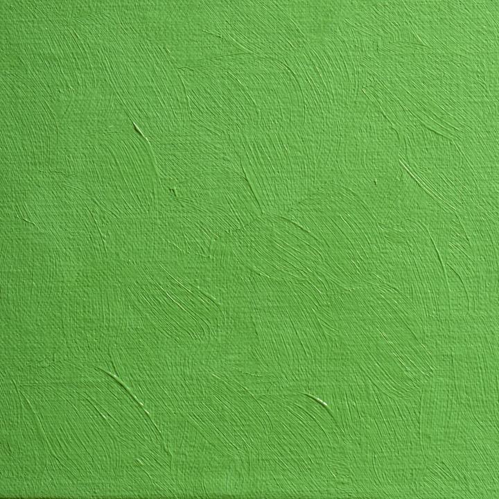 Image du produit BlockX Peinture à l'huile extra-fine tube 20ml - Vert de cadmium foncé (20 ml)