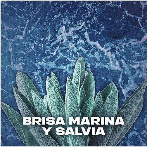 Actual product image AXE Marine Deodorant 150 (Spray, 150 ml)