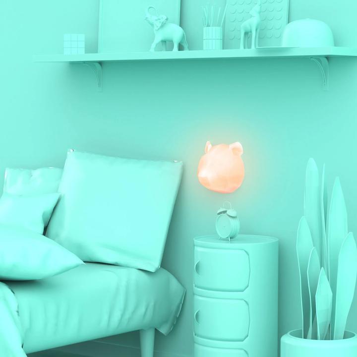 Actual product image Mobility on Board Panda