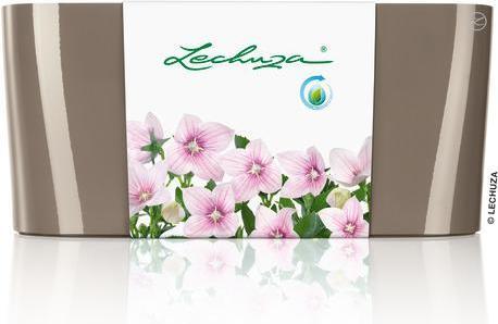 Productafbeelding Lechuza Delta (40 x 15 x 18 cm)