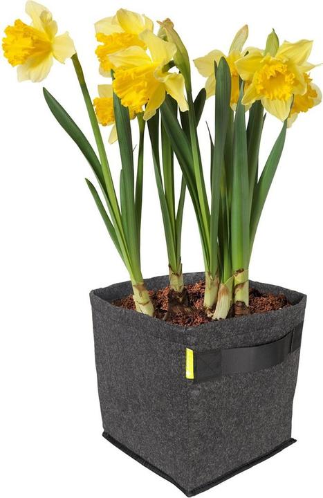 Image du produit Bio Sana Ligne bleue