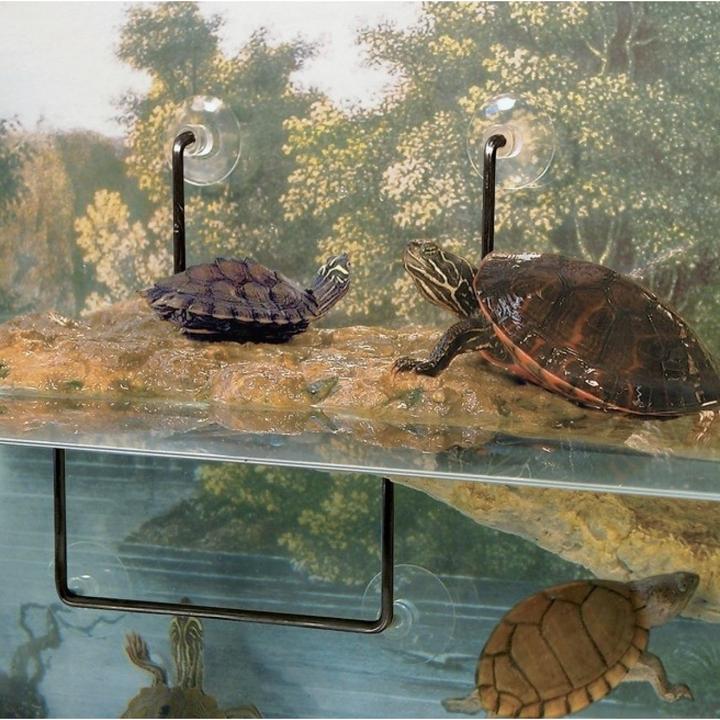 Actual product image Zoo Med Suction cups for Turtle Dock 4 pcs.