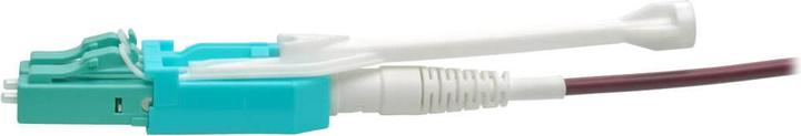 Actual product image Eaton 40G MTP/MPO to 4xLC Fan-Out OM4 Plenum-Rated Fibre Optic Cable 40GBASE-SR4 Magenta 2 (CAT8.2, 2 m)