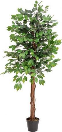 Produktbild Europalms Ficus-Benjamini Multi-Stamm, Kunstpflanze, 150cm (150 cm)