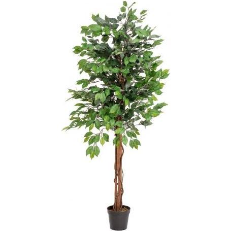 Europalms , Pianta Artificiale, Ficus-Benjamini A Più Steli, Pianta Artificiale, 150Cm (150 Cm)