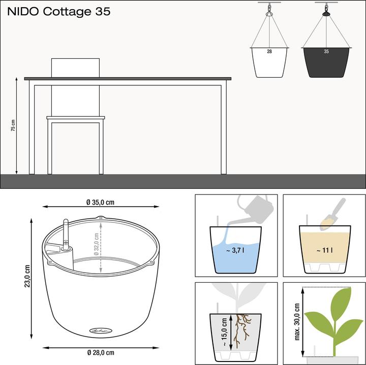 Image du produit Lechuza Nagendra (35 x 23 cm)