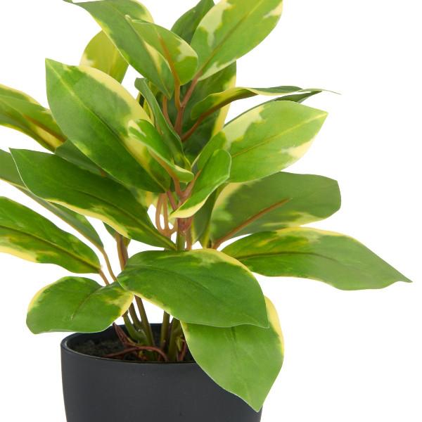 Immagine prodotto Gasper Kunstpflanze Epiprem.24cm