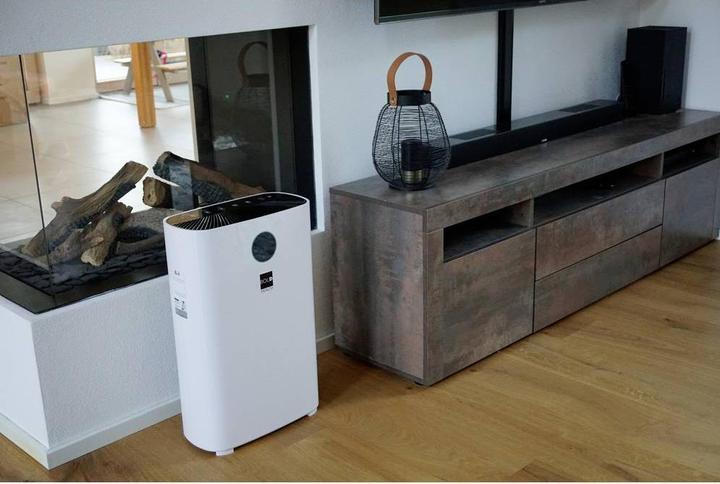 Produktbild Bold 10649 (61 m²)