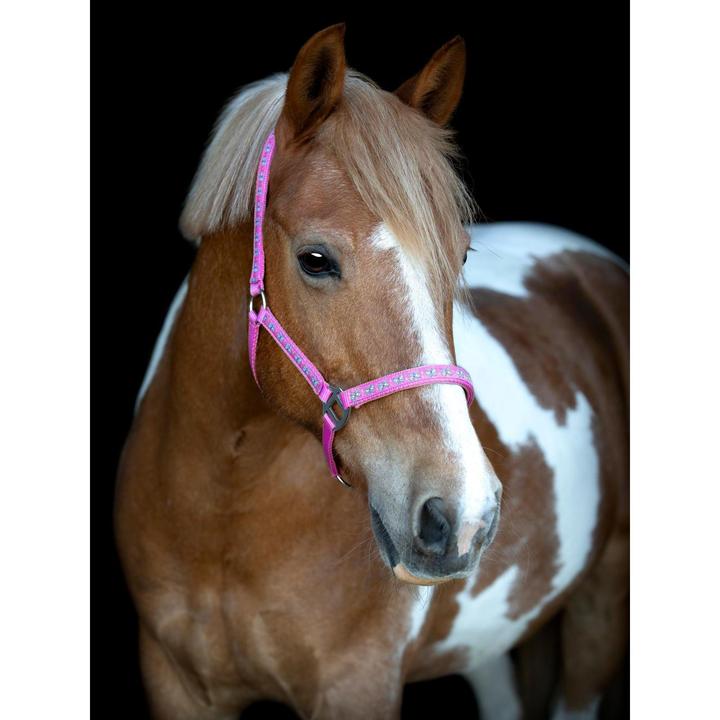 Produktbild Horse Guard Butterfly