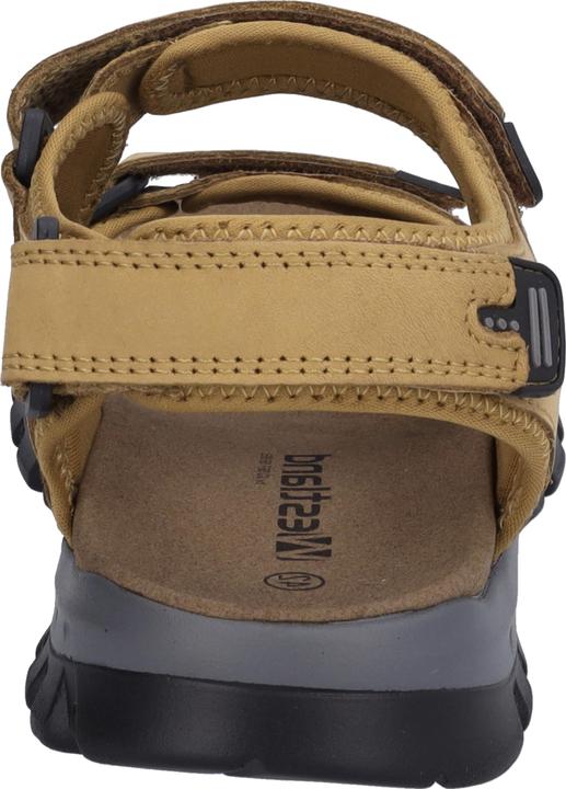 Produktbild Westland 17501-TE508 (42)