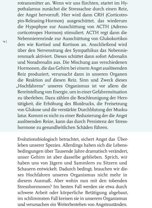 Productafbeelding Willkommen Angst (Duits, Constanze Dennig, 2023)