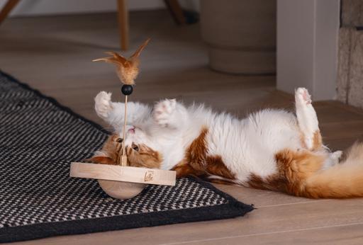 Image du produit Designed by Lotte Winni