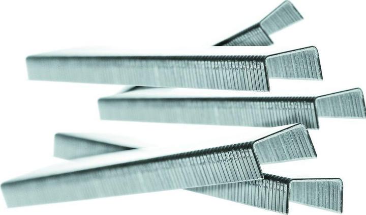 Image du produit Rapid Agrafes (5000x)