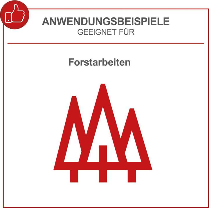 Immagine prodotto Scheppach Motosega a scoppio CSP560S (fai da te) (Sega a catena a benzina)