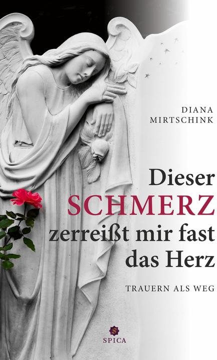 Produktbild Dieser Schmerz zerreisst mir fast das Herz (Deutsch, Diana Mirtschink, 2012)
