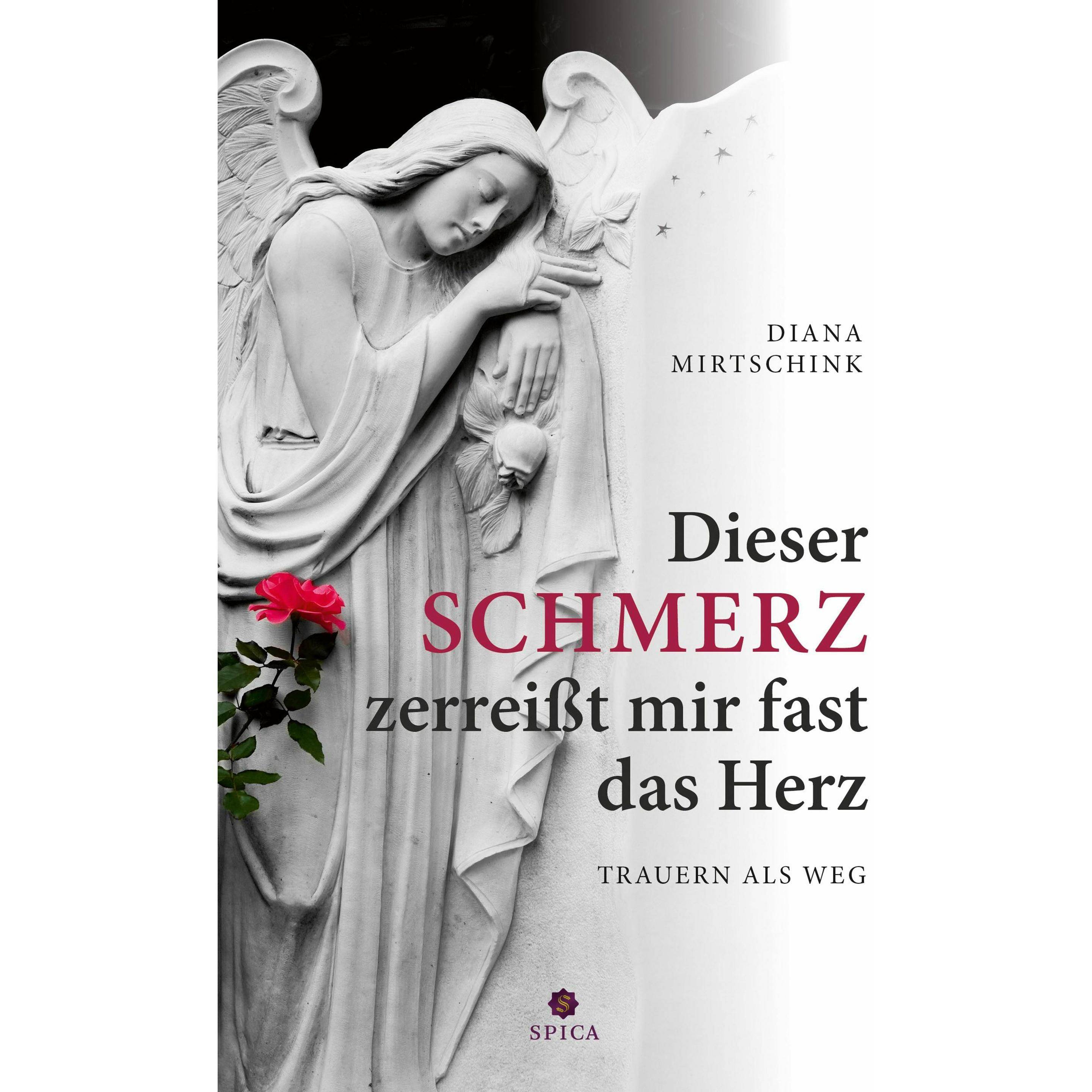 Dieser Schmerz zerreisst mir fast das Herz, Ratgeber von Diana Mirtschink
