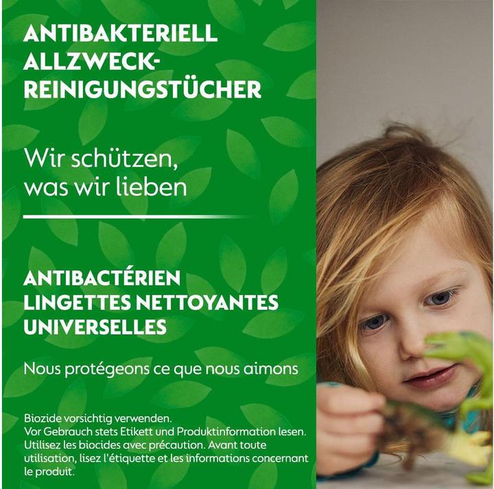 Actual product image Dettol General purpose