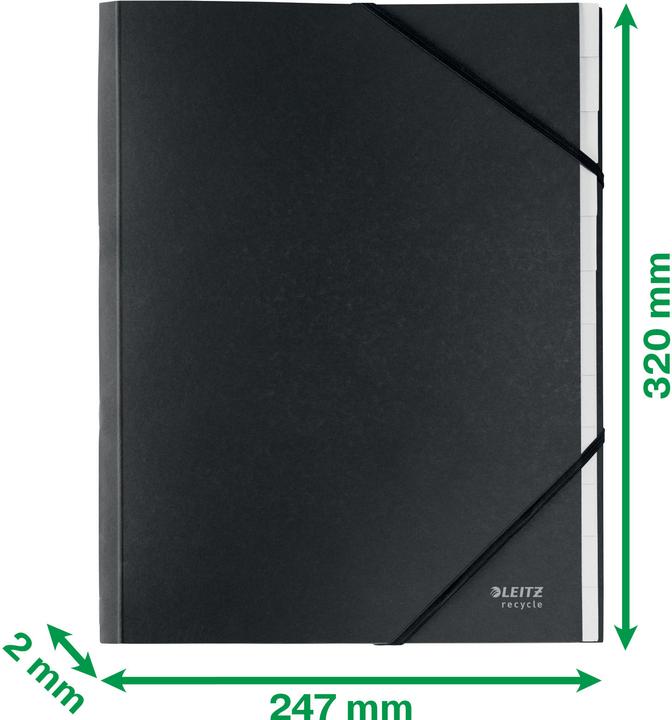 Immagine prodotto Leitz RICICLA - Cartella (A4, 1x)