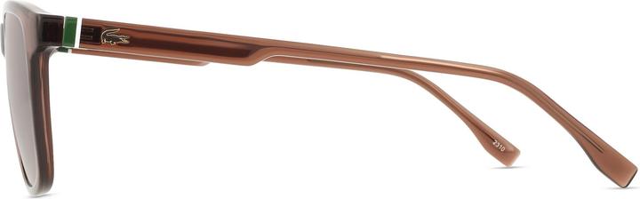 Immagine prodotto Lacoste L6029S Marrone Trasparente