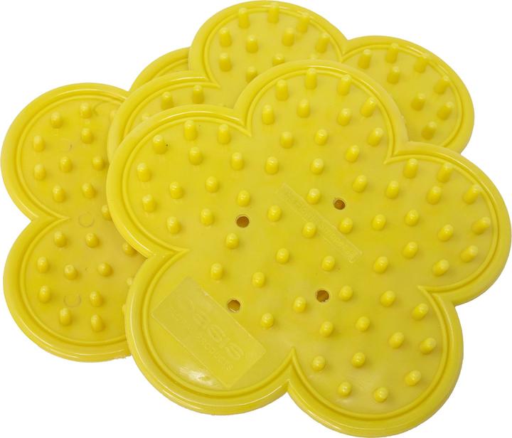 Image du produit Oasis Élimination des feuilles et des épines