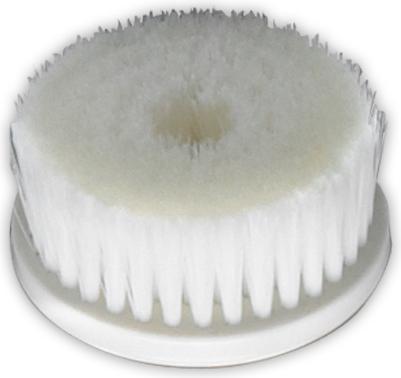 Actual product image Peter Bausch Aufsatz "Bürste"
