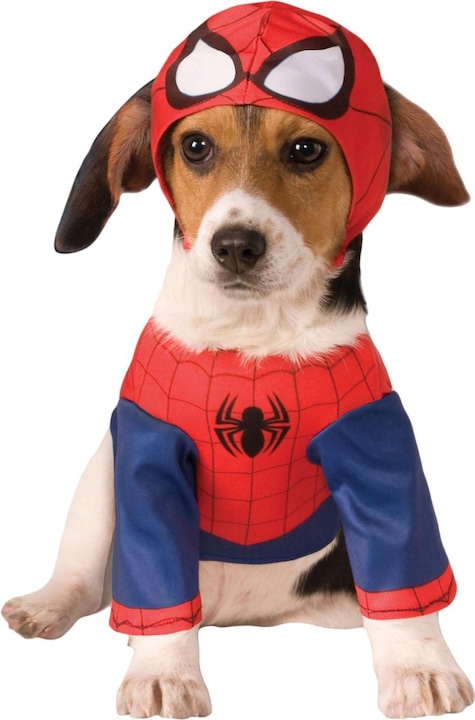 Immagine prodotto Spiderman Abito per Cani (M, Costume per cani)