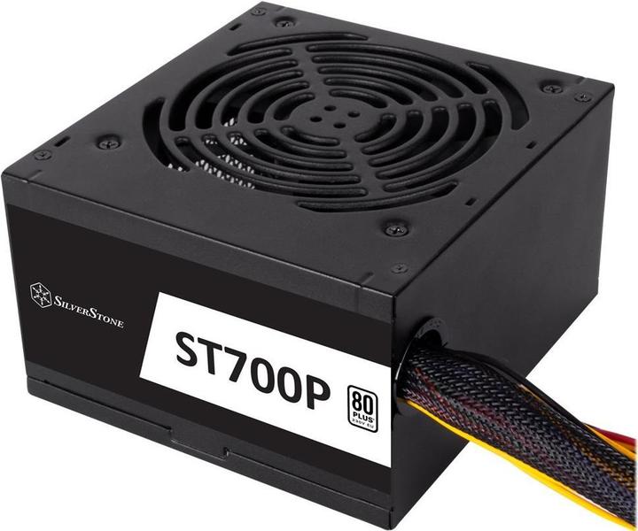 Silverstone ST700P Bloc d'alimentation 80 PLUS - 700 Watt (700 W)