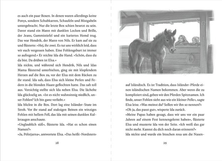 Actual product image Die Ponys von Lillasund 1. Ida und das Ponyglück (German, Kathrin Lena Orso, Tobias Goldschalt, 2025)